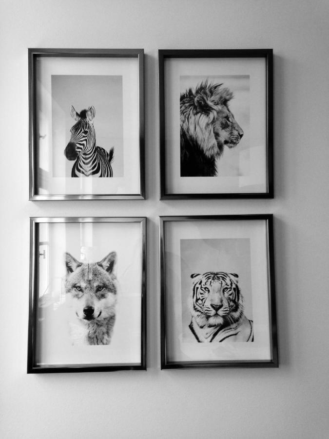 Chambre D 'Hotes Chez Manon Et Hugo Bethune Exterior photo